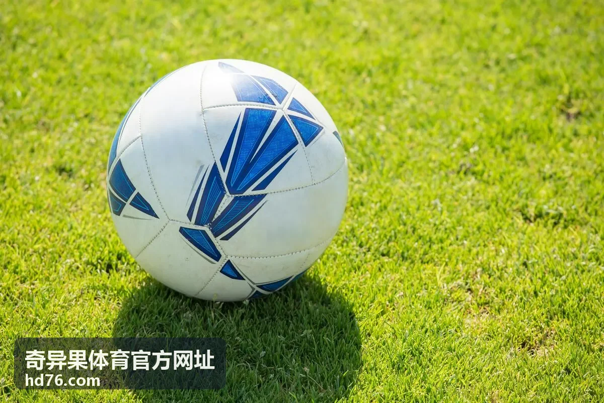 奇异果体育官方网址入口核验流程示意