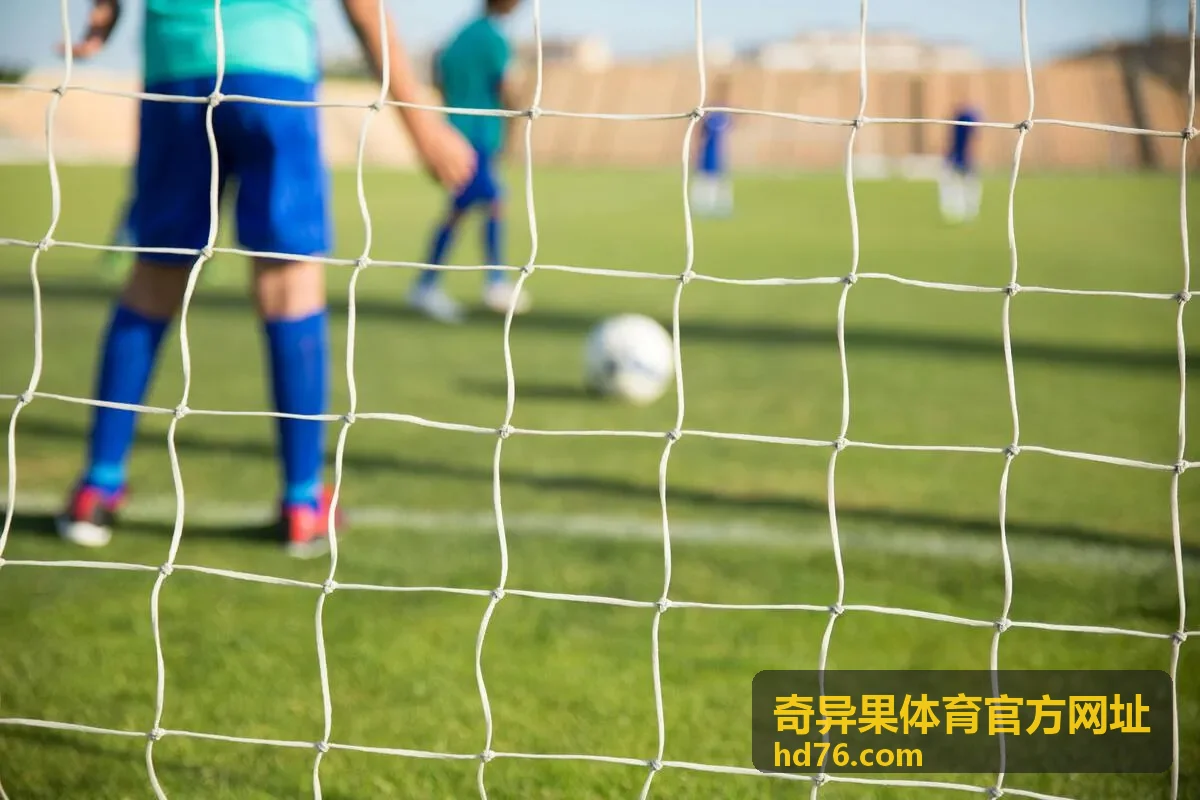 奇异果体育官方网址登录记录与授权设备核对界面示意