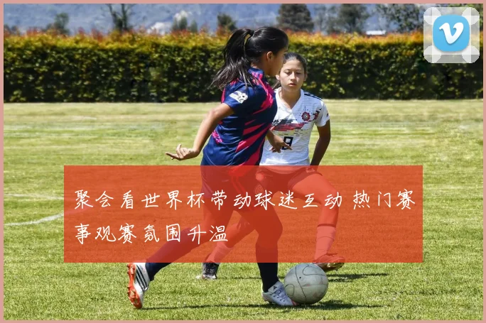 聚会看世界杯带动球迷互动 热门赛事观赛氛围升温