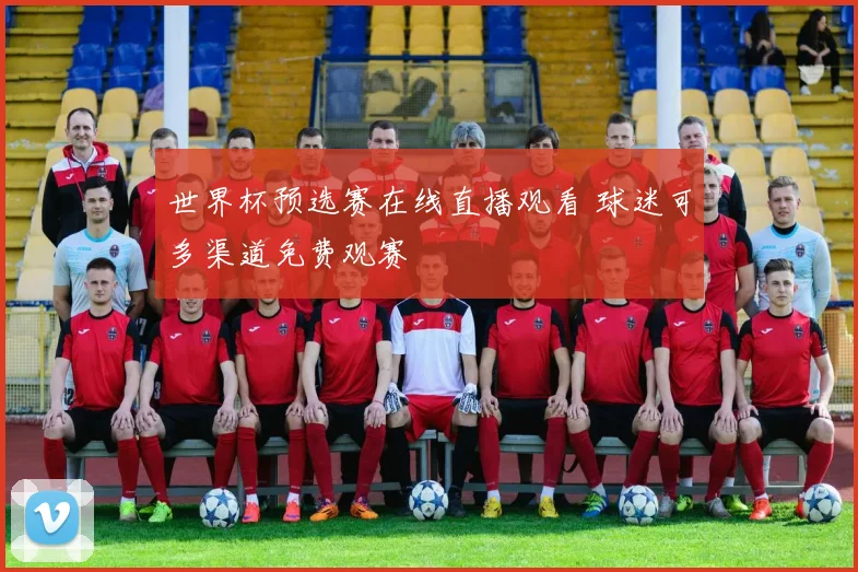 世界杯预选赛在线直播观看 球迷可多渠道免费观赛