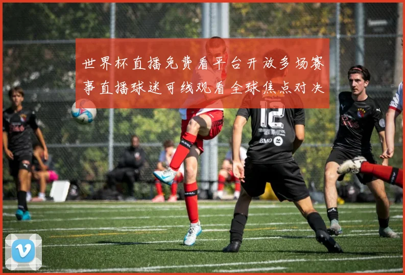 世界杯直播免费看平台开放多场赛事直播球迷可线观看全球焦点对决