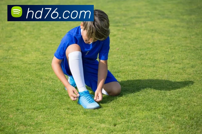 爱游戏ayx在线登录入口发展历程